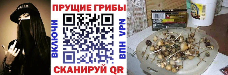 МЕГА tor  Дмитриев  Галлюциногенные грибы ЛСД 