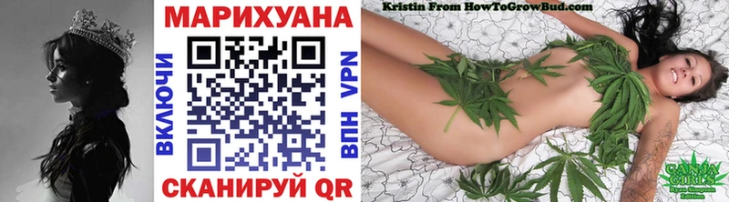 где можно купить   Дмитриев  Канабис Amnesia 